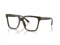 Jimmy Choo 3040U 5060 54 Women glasses