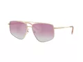 Jimmy Choo JC 4011 300658 58 Women sunglasses