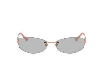 Jimmy Choo JC 4013D 300887 57 Women sunglasses
