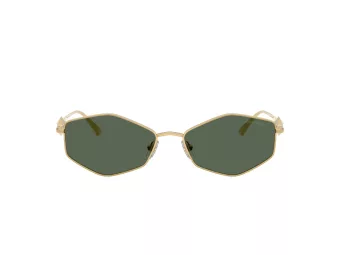 Jimmy Choo JC 4017 302371 55 Women sunglasses