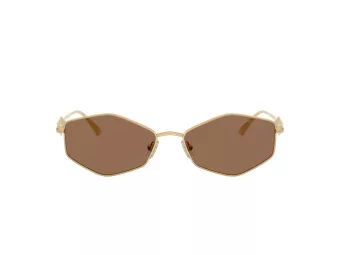 Jimmy Choo JC 4017 302373 55 Women sunglasses