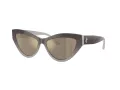 Jimmy Choo JC 5004 50465A 55 Women sunglasses