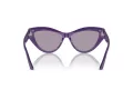 Jimmy Choo JC 5004 50482S 55 Women sunglasses