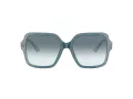 Jimmy Choo JC 5005 504319 55 Women sunglasses