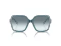 Jimmy Choo JC 5005 504319 55 Women sunglasses