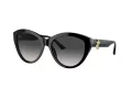 Jimmy Choo JC 5007 50008G 55 Women sunglasses