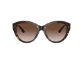 Jimmy Choo JC 5007 500213 55 Women sunglasses