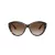 Jimmy Choo JC 5007 500213 55 Women sunglasses