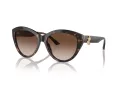 Jimmy Choo JC 5007 500213 55 Women sunglasses