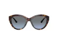 Jimmy Choo JC 5007 50028F 55 Women sunglasses