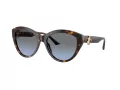 Jimmy Choo JC 5007 50028F 55 Women sunglasses