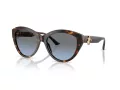 Jimmy Choo JC 5007 50028F 55 Women sunglasses