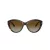 Jimmy Choo JC 5007 5002T5 55 Women sunglasses
