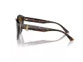 Jimmy Choo JC 5007 5002T5 55 Women sunglasses