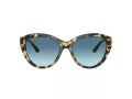 Jimmy Choo JC 5007 500419 55 Women sunglasses