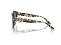 Jimmy Choo JC 5007 500419 55 Women sunglasses