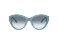Jimmy Choo JC 5007 501219 55 Women sunglasses