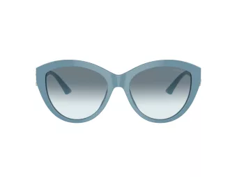Jimmy Choo JC 5007 501219 55 Women sunglasses