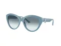Jimmy Choo JC 5007 501219 55 Women sunglasses