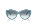 Jimmy Choo JC 5007 501219 55 Women sunglasses