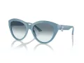 Jimmy Choo JC 5007 501219 55 Women sunglasses