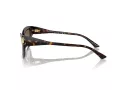 Jimmy Choo JC 5011U 500273 55 Women sunglasses