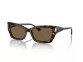 Jimmy Choo JC 5011U 500273 55 Women sunglasses