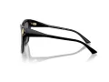 Jimmy Choo JC 5012 500081 54 Women sunglasses