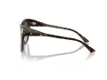 Jimmy Choo JC 5012 500213 54 Women sunglasses