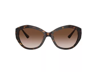 Jimmy Choo JC 5013U 500213 55 Women sunglasses