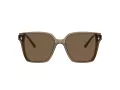 Jimmy Choo JC 5016D 505173 61 Women sunglasses