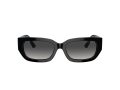 Jimmy Choo JC 5017 50008G 55 Women sunglasses