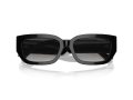 Jimmy Choo JC 5017 50008G 55 Women sunglasses