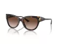 Jimmy Choo JC 5018U 500213 54 Women sunglasses