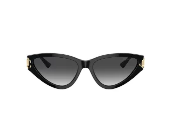 Jimmy Choo JC 5019 50008G 55 Women sunglasses