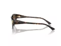 Jimmy Choo JC 5019 500213 55 Women sunglasses