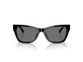 Jimmy Choo JC 5024HU 500081 55 Women sunglasses