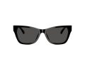 Jimmy Choo JC 5024HU 500087 55 Women sunglasses