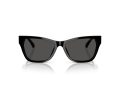 Jimmy Choo JC 5024HU 500087 55 Women sunglasses
