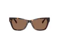 Jimmy Choo JC 5024HU 500273 55 Women sunglasses