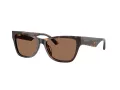 Jimmy Choo JC 5024HU 500273 55 Women sunglasses