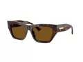 Jimmy Choo JC 5035B 500283 54 Women sunglasses