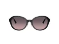 Jimmy Choo JC 5044D 500046 54 Women sunglasses