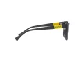 Miraflex MF 1040 M564 52 Men sunglasses
