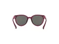 Miraflex MF 1041 M570 49 Men, Women sunglasses