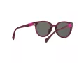 Miraflex MF 1041 M570 49 Men, Women sunglasses