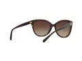 Michael Kors Jan MK 2045 300613 55 Women sunglasses