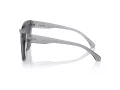 Michael Kors Dubai MK 2211U 397087 57 Women sunglasses