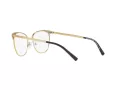 Michael Kors Nao MK 3018 1195 54 Women glasses