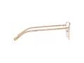 Michael Kors Buena Vista MK 3030 1108 54 Women glasses